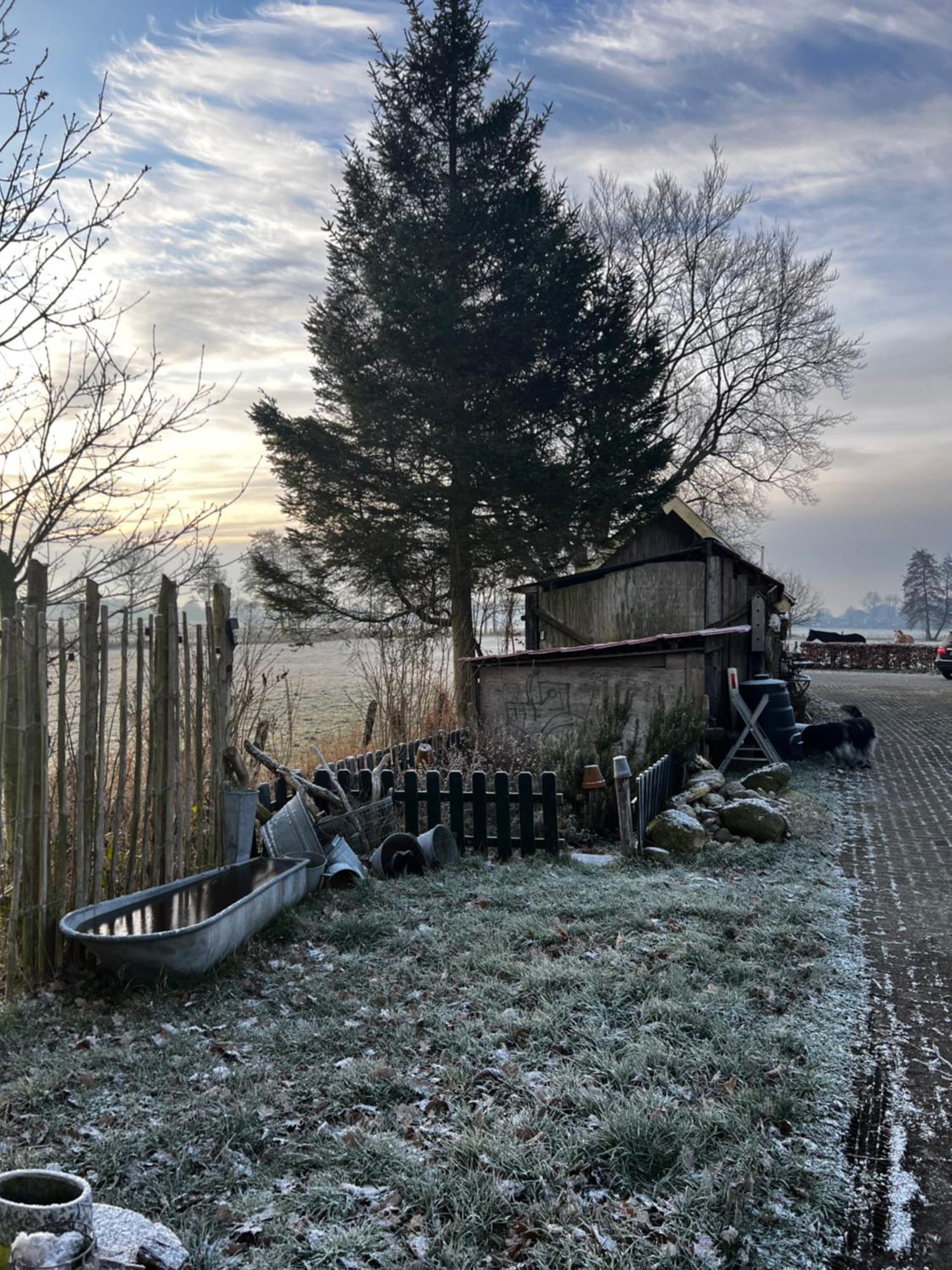 B&B Zandhuizen Extérieur photo
