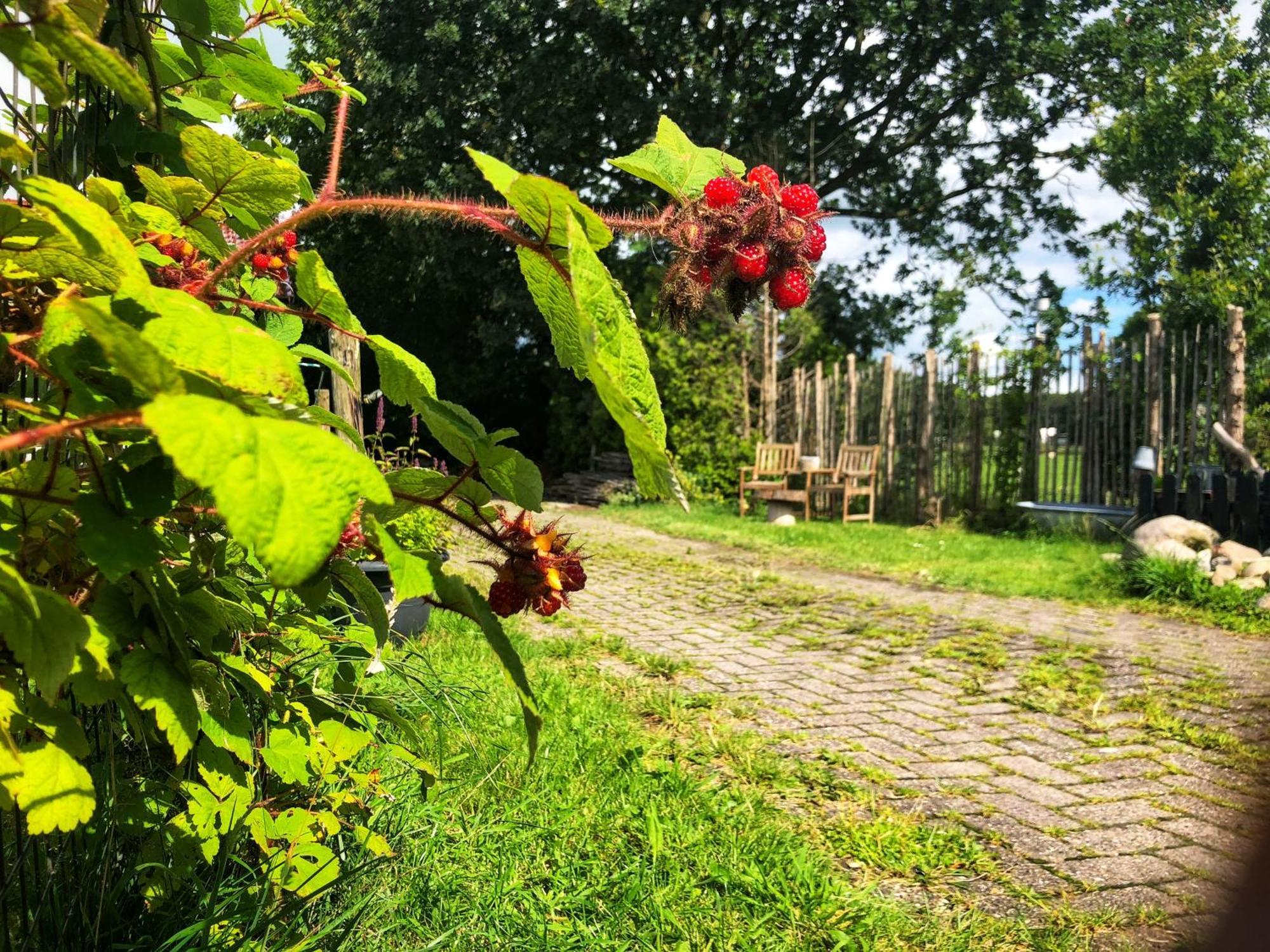B&B Zandhuizen Extérieur photo