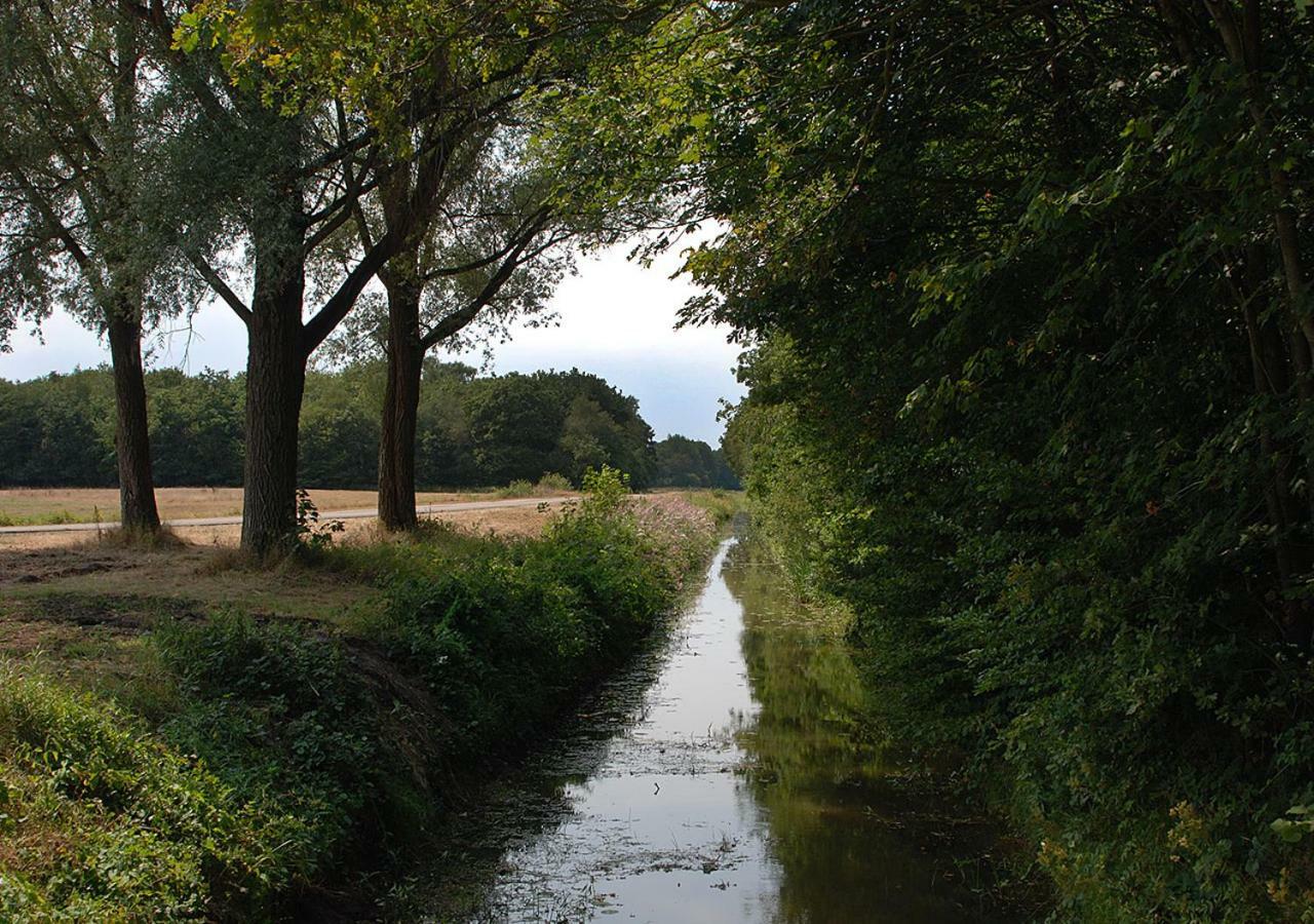 B&B Zandhuizen Extérieur photo